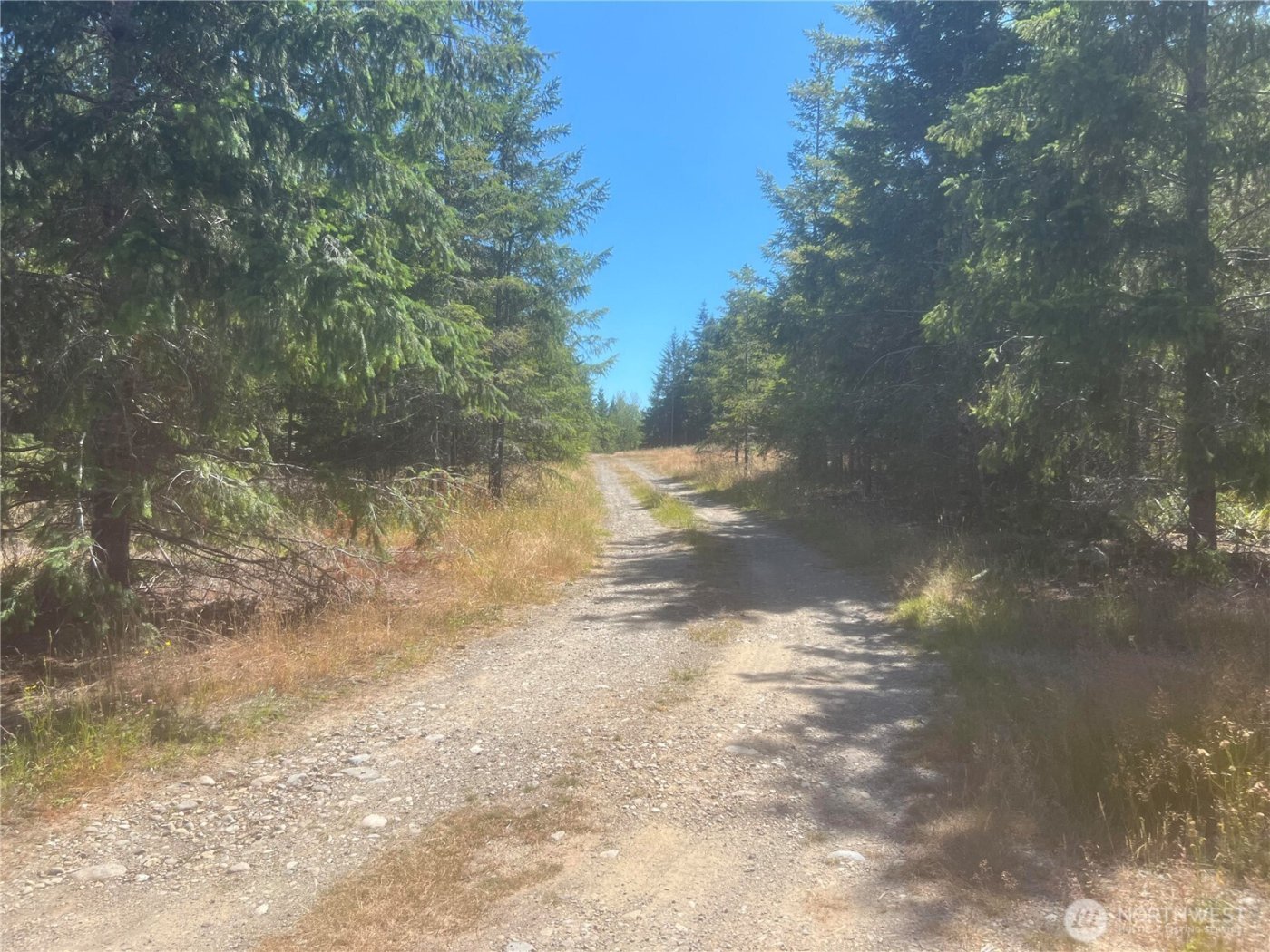 3 XXXX Mt Jupiter Road , Brinnon, WA 98320