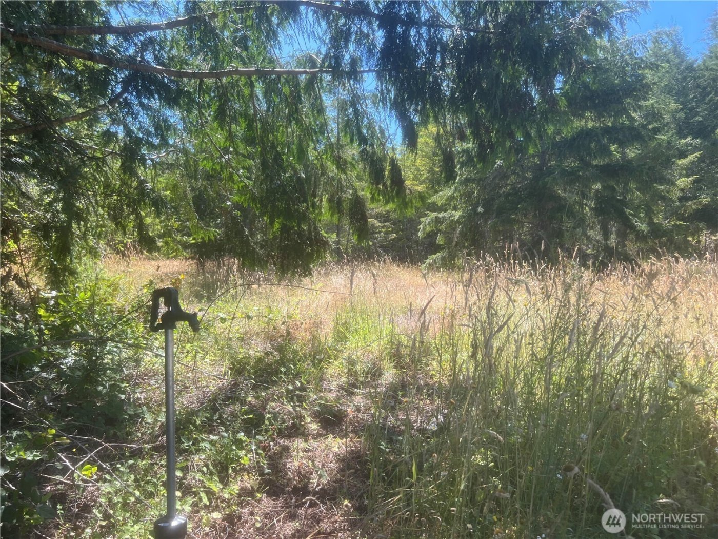 3 XXXX Mt Jupiter Road , Brinnon, WA 98320