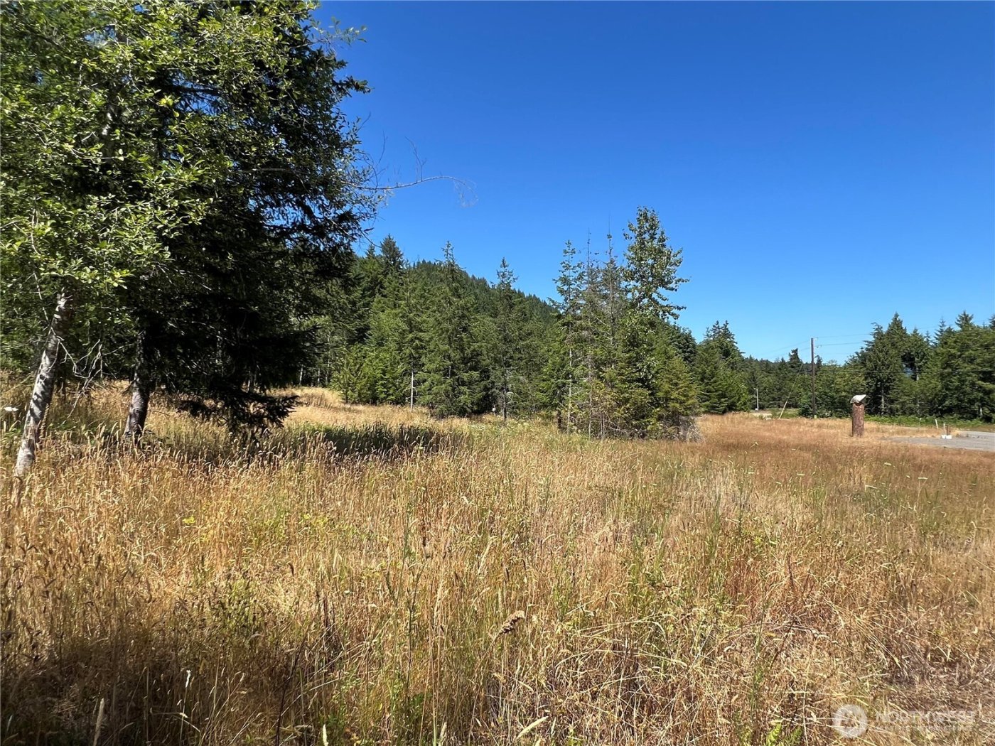 3 XXXX Mt Jupiter Road , Brinnon, WA 98320