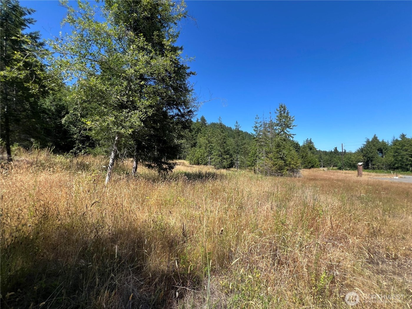 3 XXXX Mt Jupiter Road , Brinnon, WA 98320