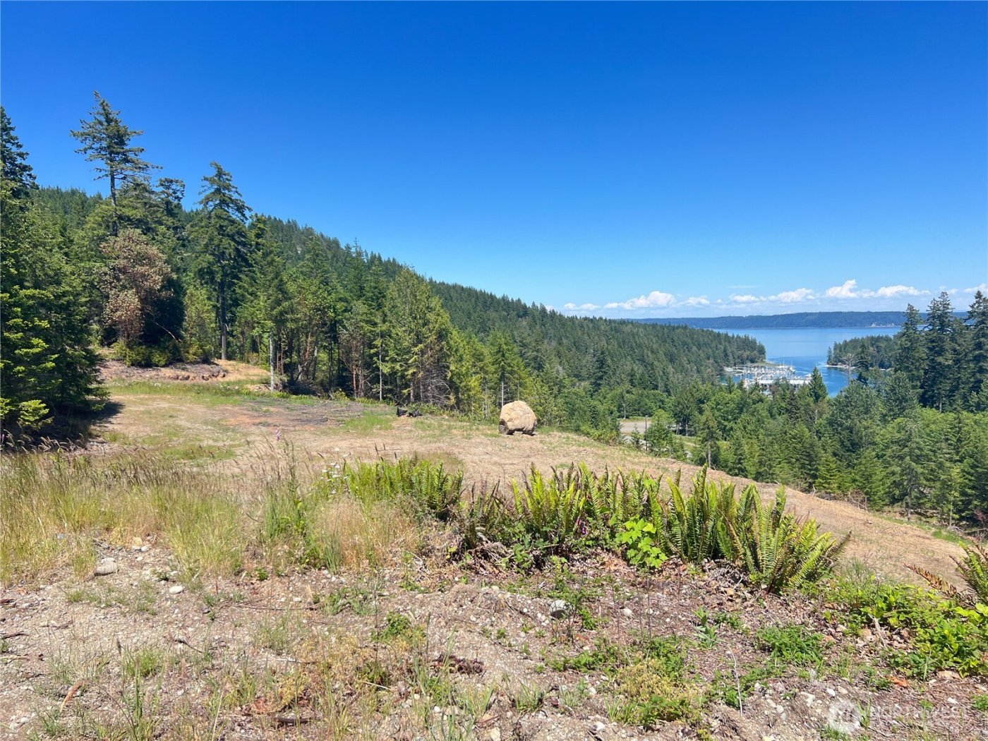 3 XXXX Mt Jupiter Road , Brinnon, WA 98320