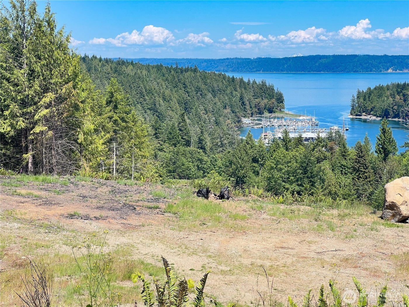 3 XXXX Mt Jupiter Road , Brinnon, WA 98320