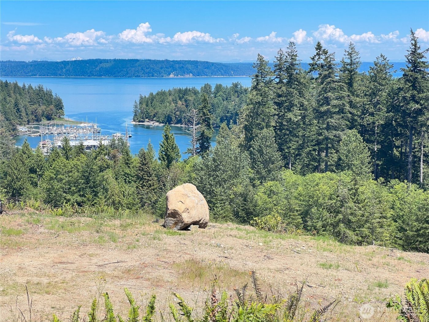 3 XXXX Mt Jupiter Road , Brinnon, WA 98320