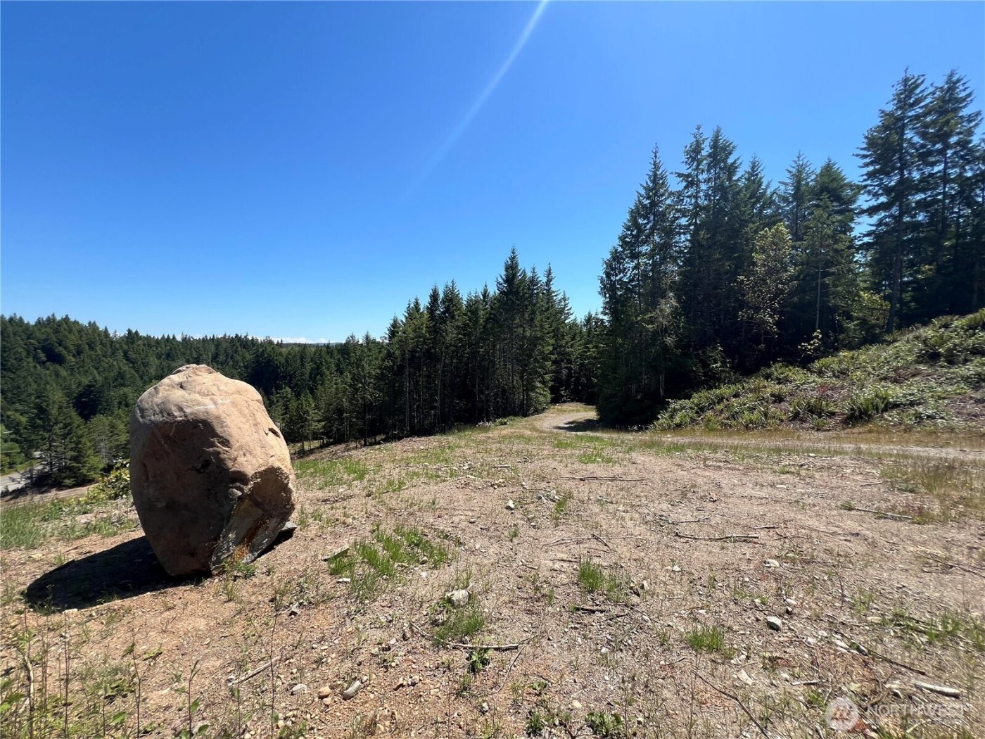 3 XXXX Mt Jupiter Road , Brinnon, WA 98320