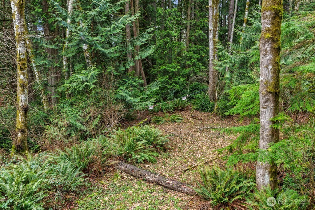 0 Martin Avenue E, Port Orchard, WA 98366