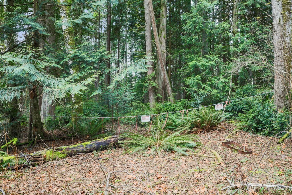 0 Martin Avenue E, Port Orchard, WA 98366