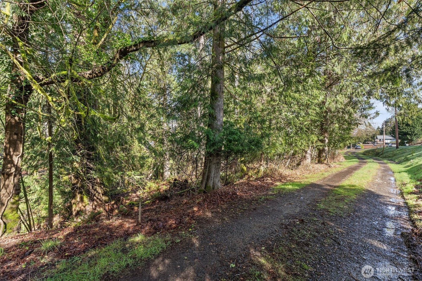 9821 Mariner Drive NW, Olympia, WA 98502