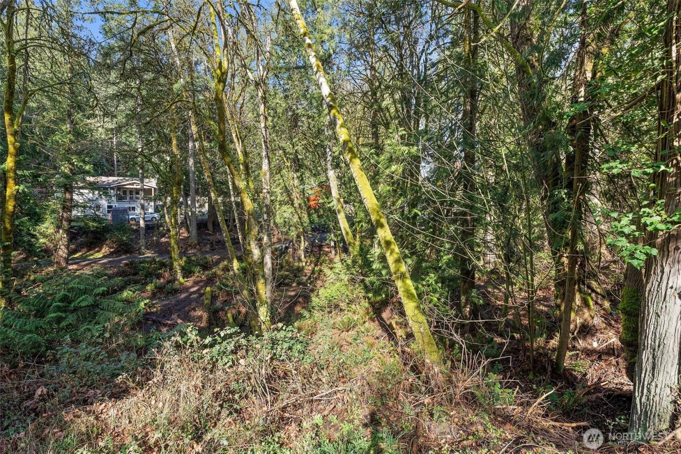 9821 Mariner Drive NW, Olympia, WA 98502