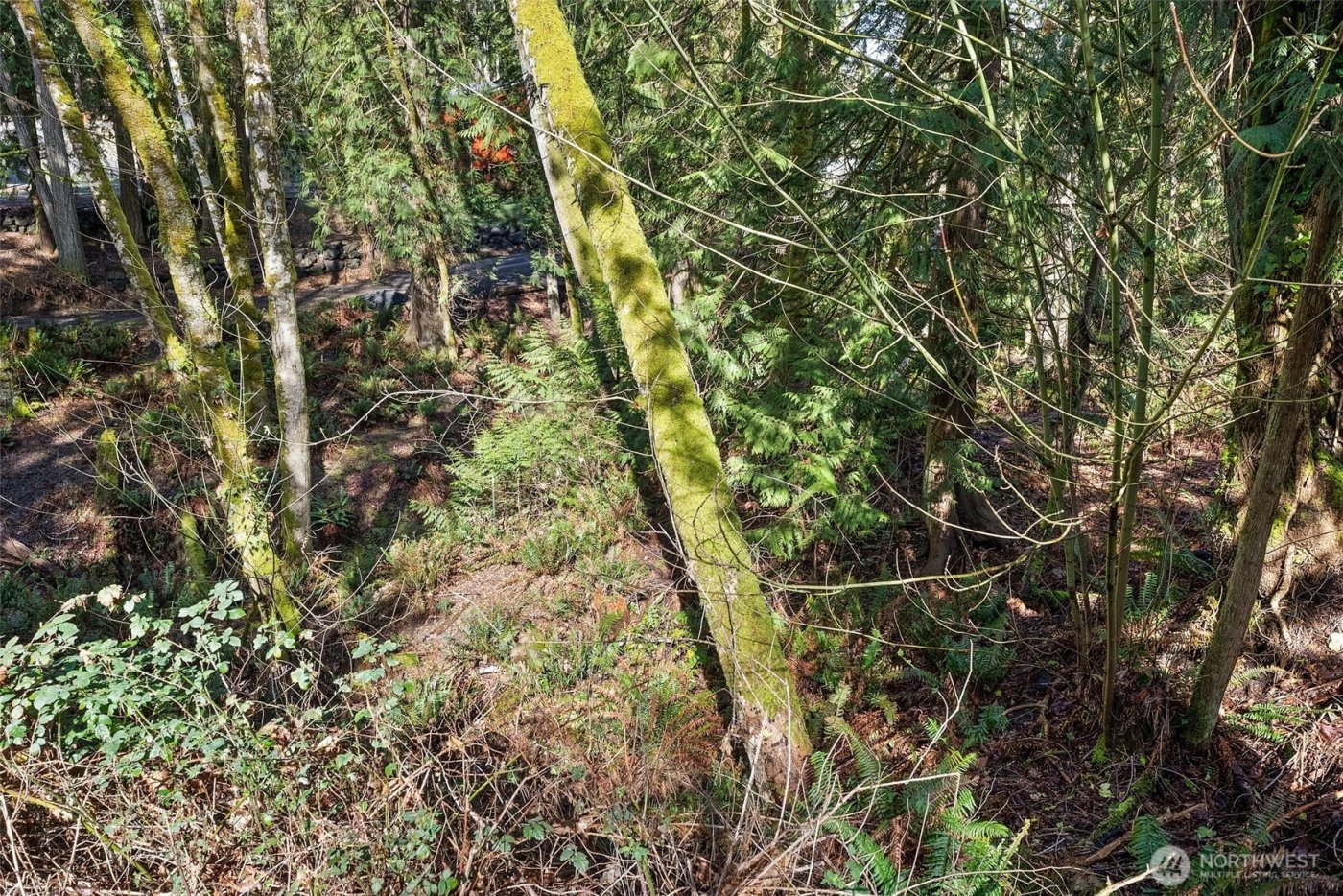 9821 Mariner Drive NW, Olympia, WA 98502