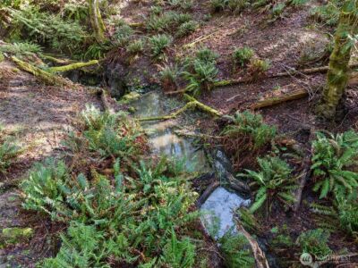 9821 Mariner Drive NW, Olympia, WA 98502 - Photo 15