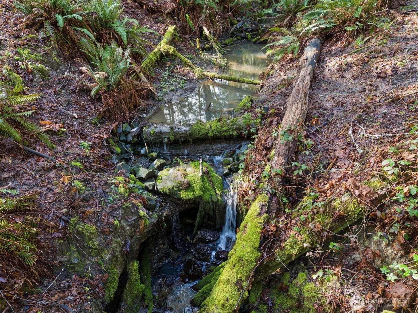 9821 Mariner Drive NW, Olympia, WA 98502