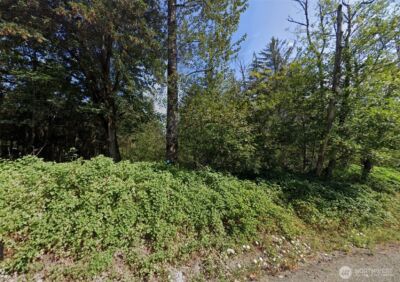 31900 Retreat-Kanaskat Road , Ravensdale, WA 98051