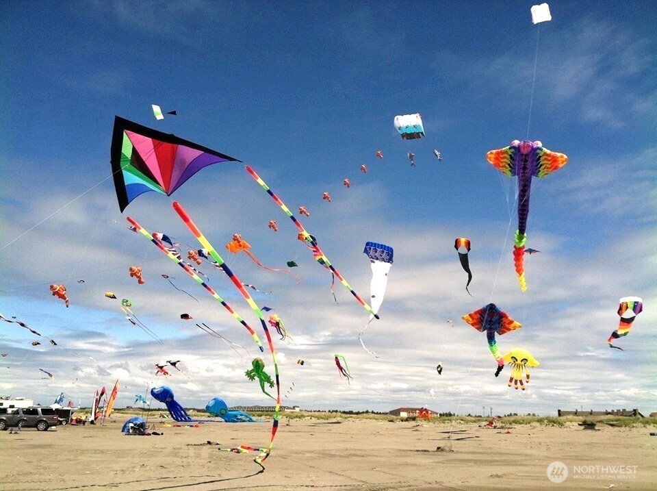 729 Wood Duck Avenue SE, Ocean Shores, WA 98569