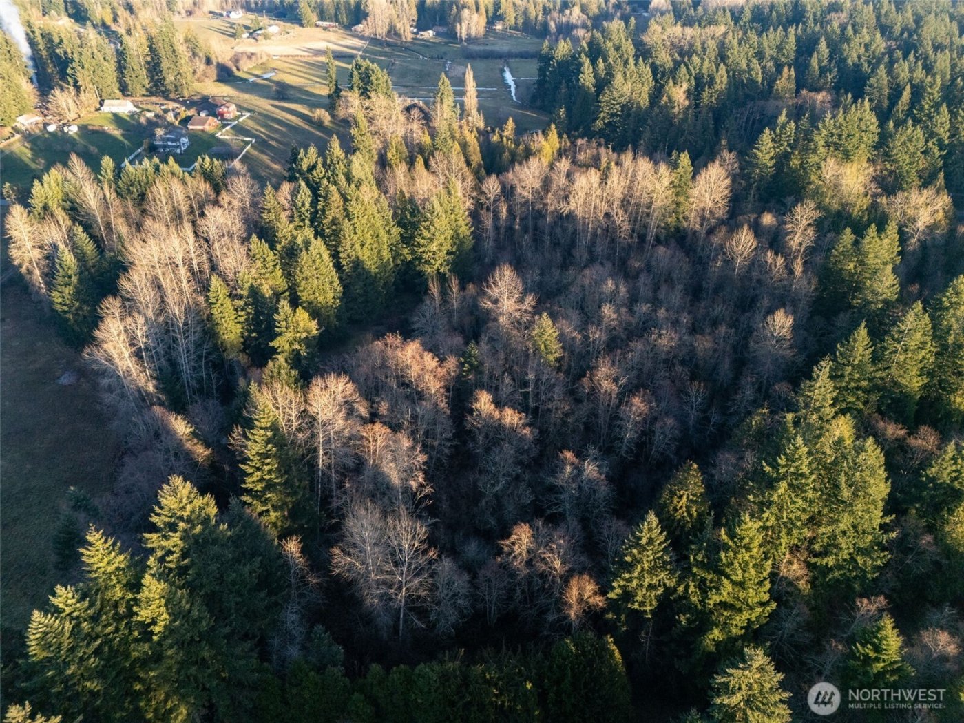 24404 122nd Avenue E, Graham, WA 98338