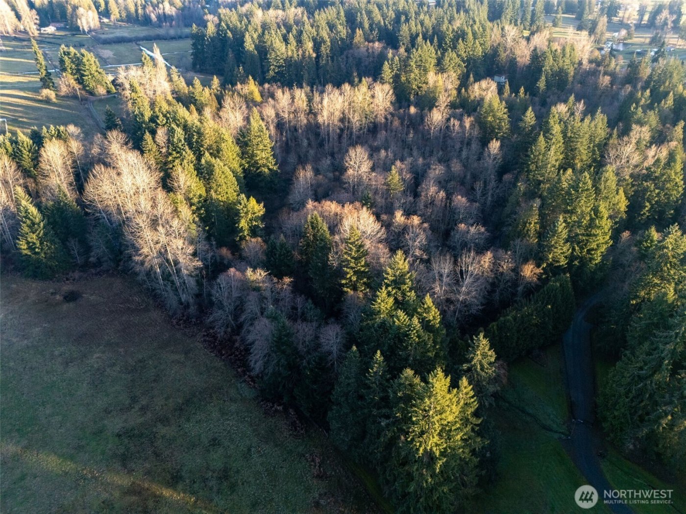 24404 122nd Avenue E, Graham, WA 98338