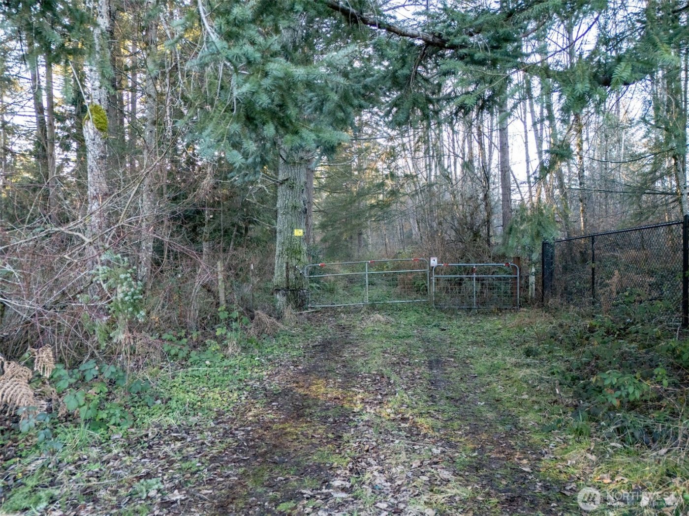 24404 122nd Avenue E, Graham, WA 98338