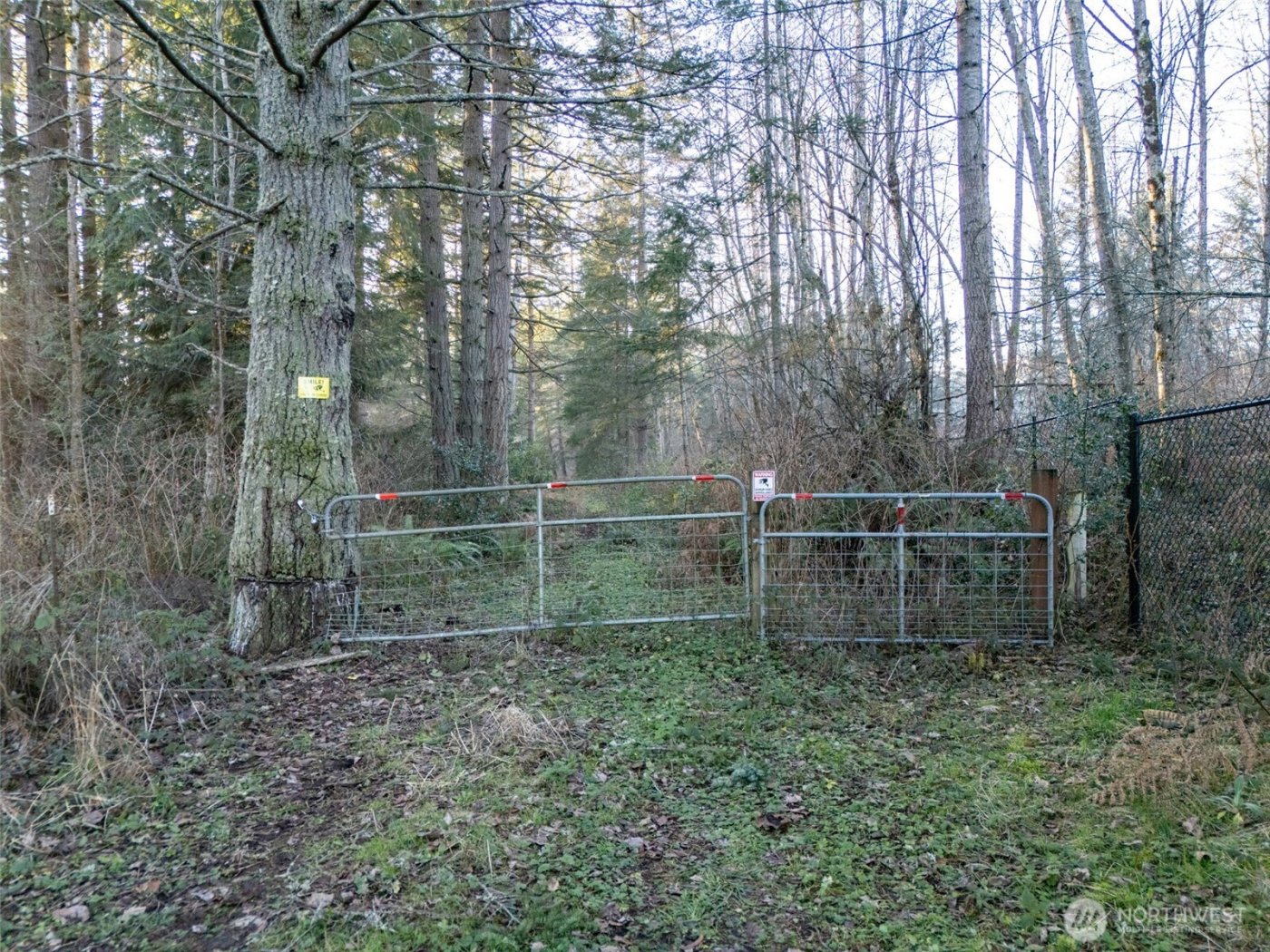 24404 122nd Avenue E, Graham, WA 98338