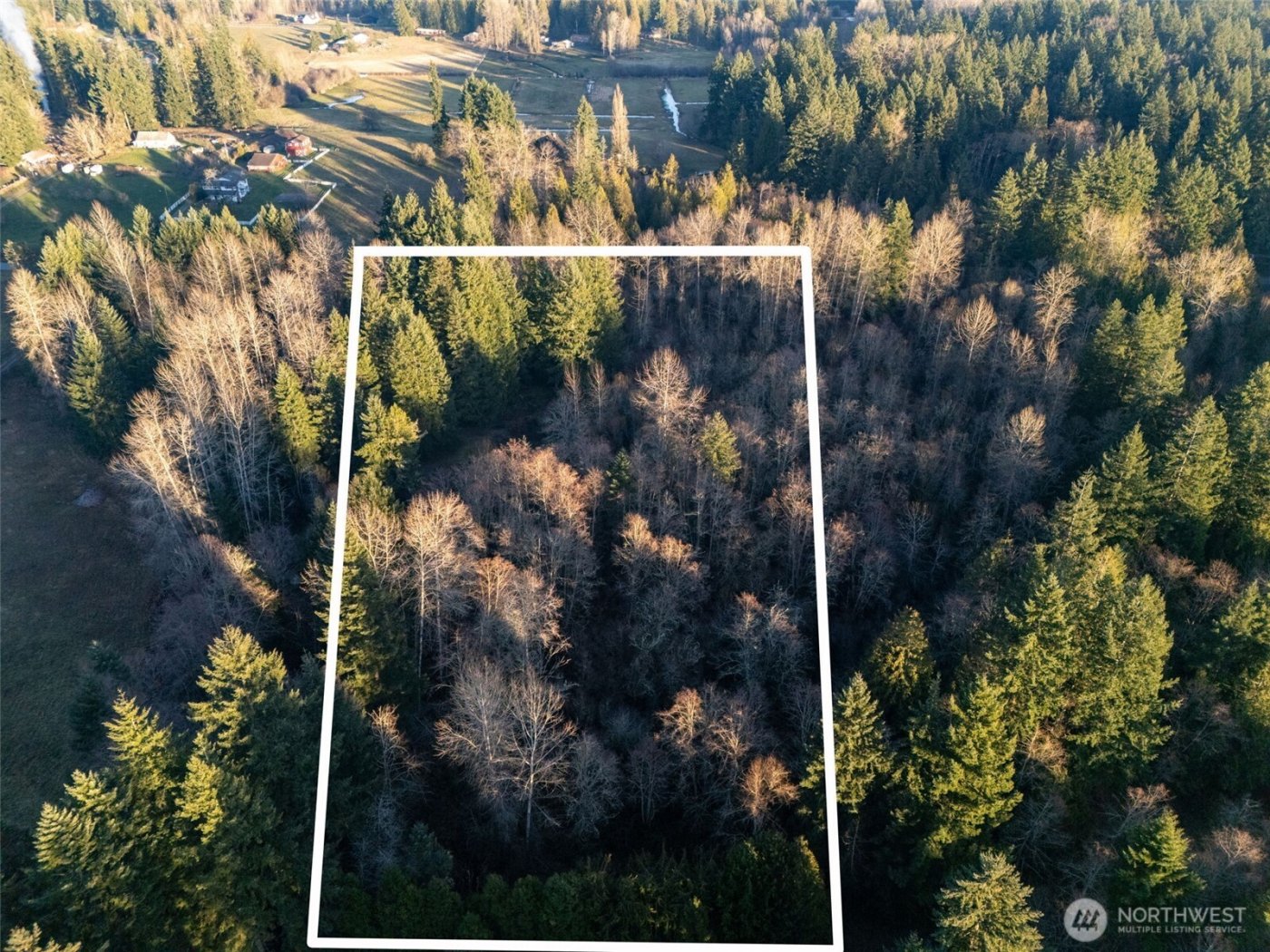 24404 122nd Avenue E, Graham, WA 98338