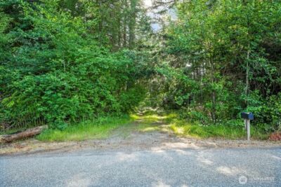 24404 122nd Avenue E, Graham, WA 98338 - Photo 3