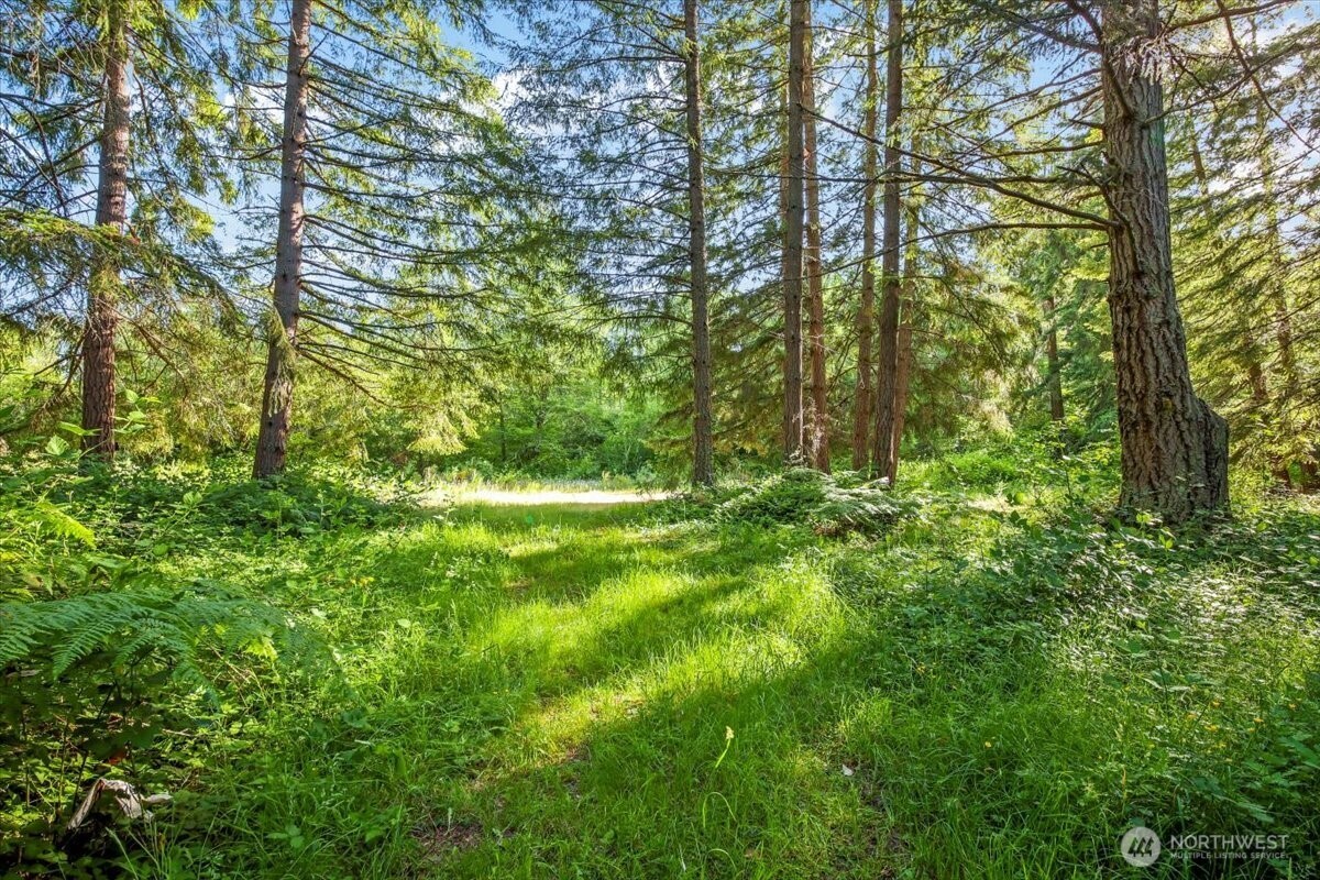 24404 122nd Avenue E, Graham, WA 98338