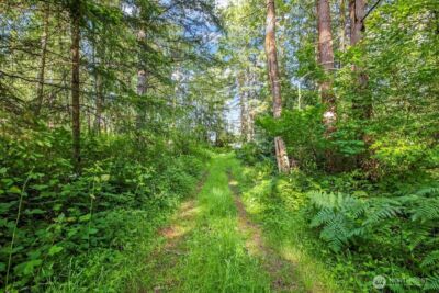 24404 122nd Avenue E, Graham, WA 98338 - Photo 6