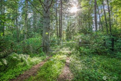 24404 122nd Avenue E, Graham, WA 98338 - Photo 8