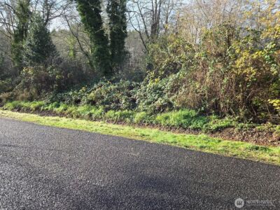 0 NKA Kendrick and Wier Street , South Bend, WA 98586 - Photo 2