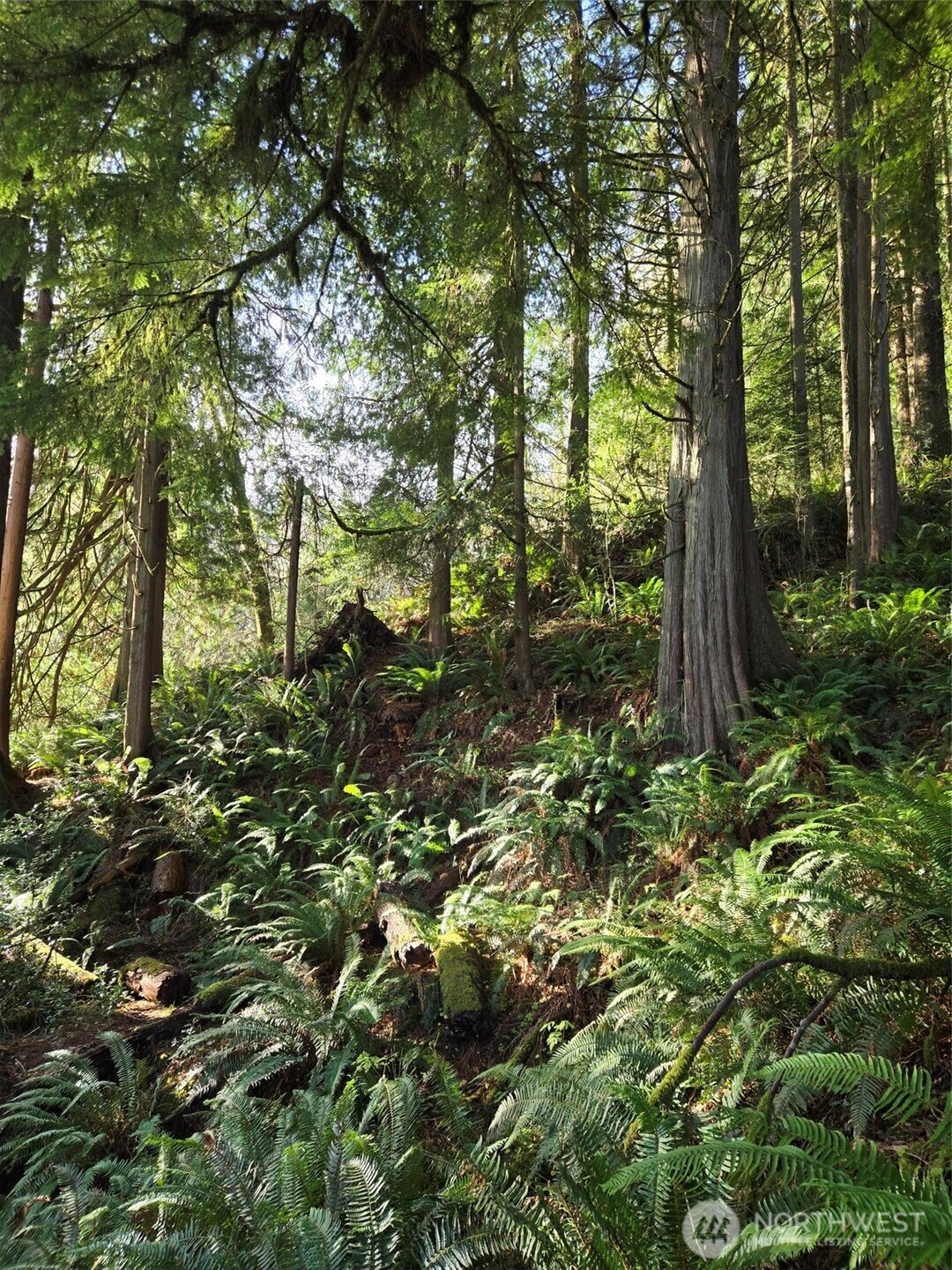 0 NKA Kendrick and Wier Street , South Bend, WA 98586