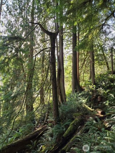 0 NKA Kendrick and Wier Street , South Bend, WA 98586 - Photo 5