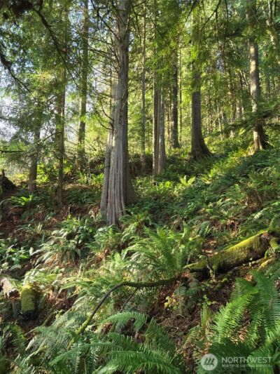 0 NKA Kendrick and Wier Street , South Bend, WA 98586 - Photo 6