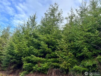 0 Hwy 101 , Cosmopolis, WA 98537 - Photo 3