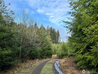 0 Hwy 101 , Cosmopolis, WA 98537 - Photo 4