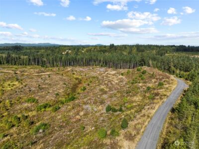 0 Salmon Creek Road , Toledo, WA 98591