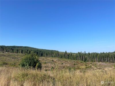 0 Salmon Creek Road , Toledo, WA 98591 - Photo 11