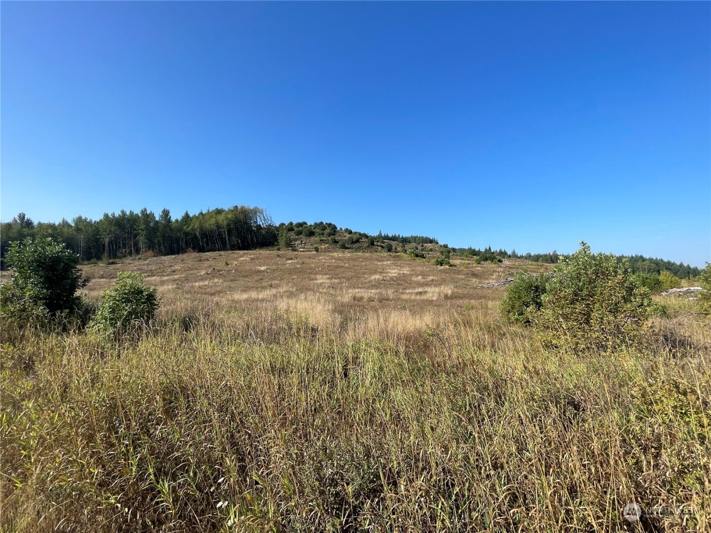 0 Salmon Creek Road , Toledo, WA 98591