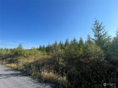 0 Salmon Creek Road , Toledo, WA 98591 - Photo 13