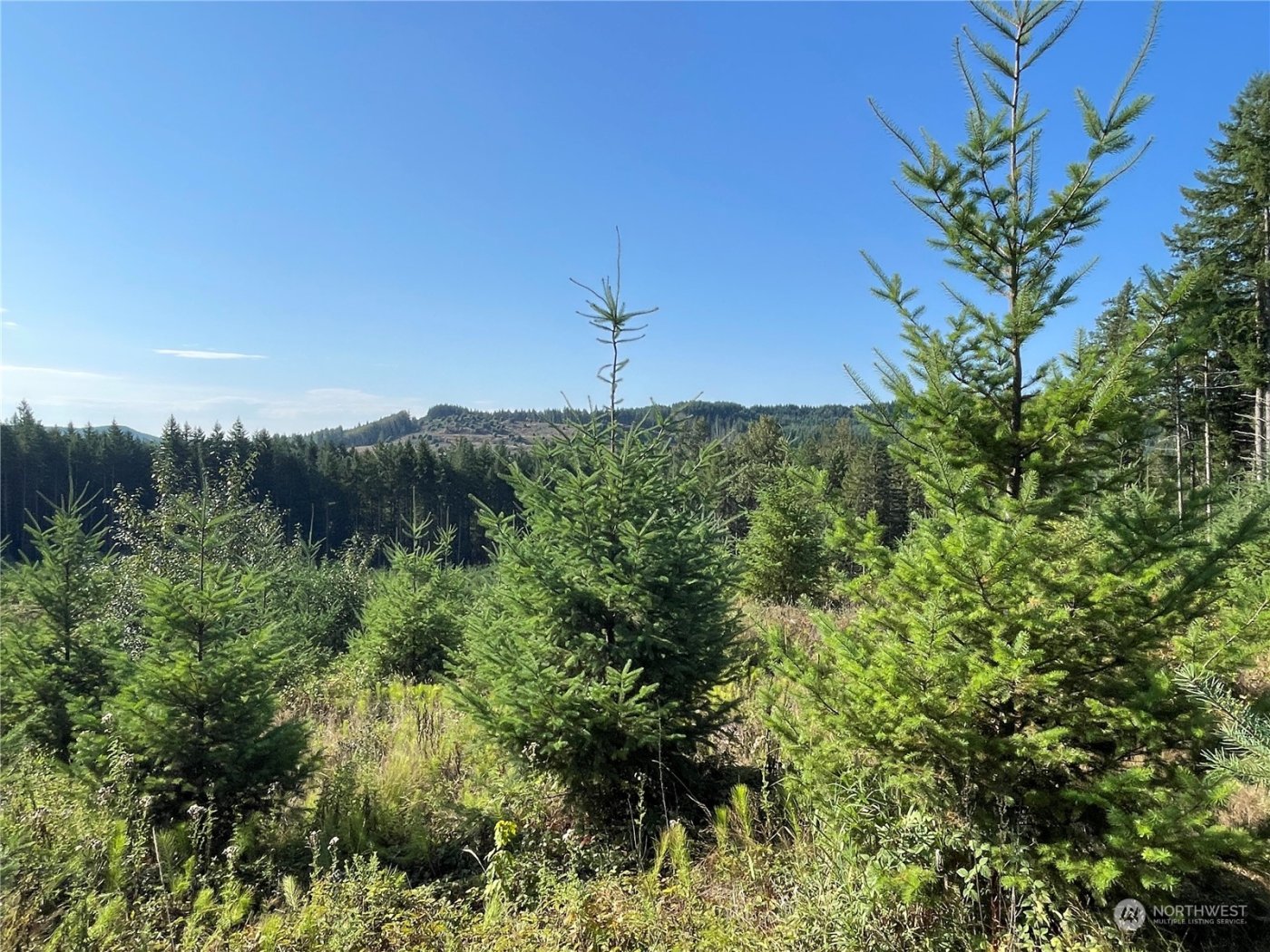 0 Salmon Creek Road , Toledo, WA 98591