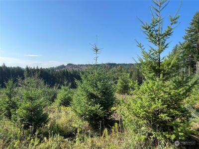 0 Salmon Creek Road , Toledo, WA 98591 - Photo 17