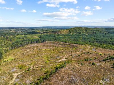 0 Salmon Creek Road , Toledo, WA 98591 - Photo 3