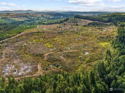 0 Salmon Creek Road , Toledo, WA 98591 - Photo 4