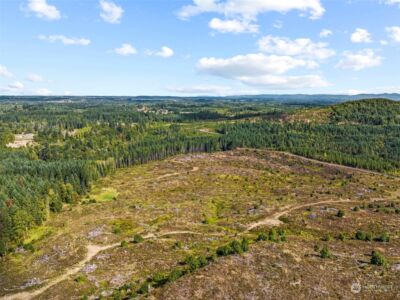 0 Salmon Creek Road , Toledo, WA 98591 - Photo 5