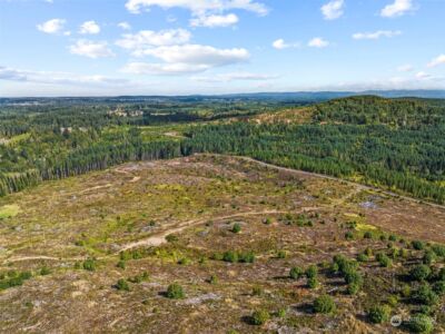 0 Salmon Creek Road , Toledo, WA 98591 - Photo 6