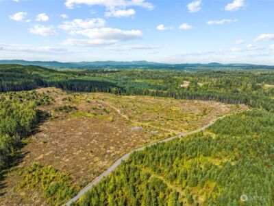 0 Salmon Creek Road , Toledo, WA 98591 - Photo 8