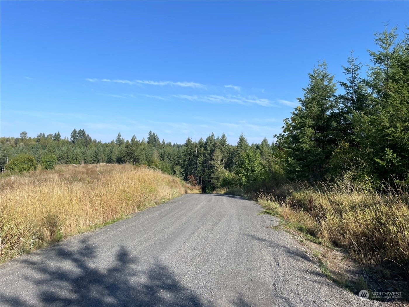 0 Salmon Creek Road , Toledo, WA 98591