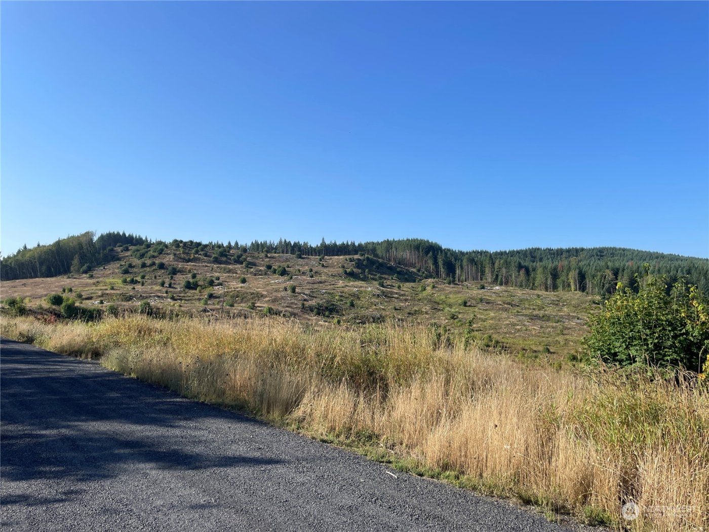 0 Salmon Creek Road , Toledo, WA 98591