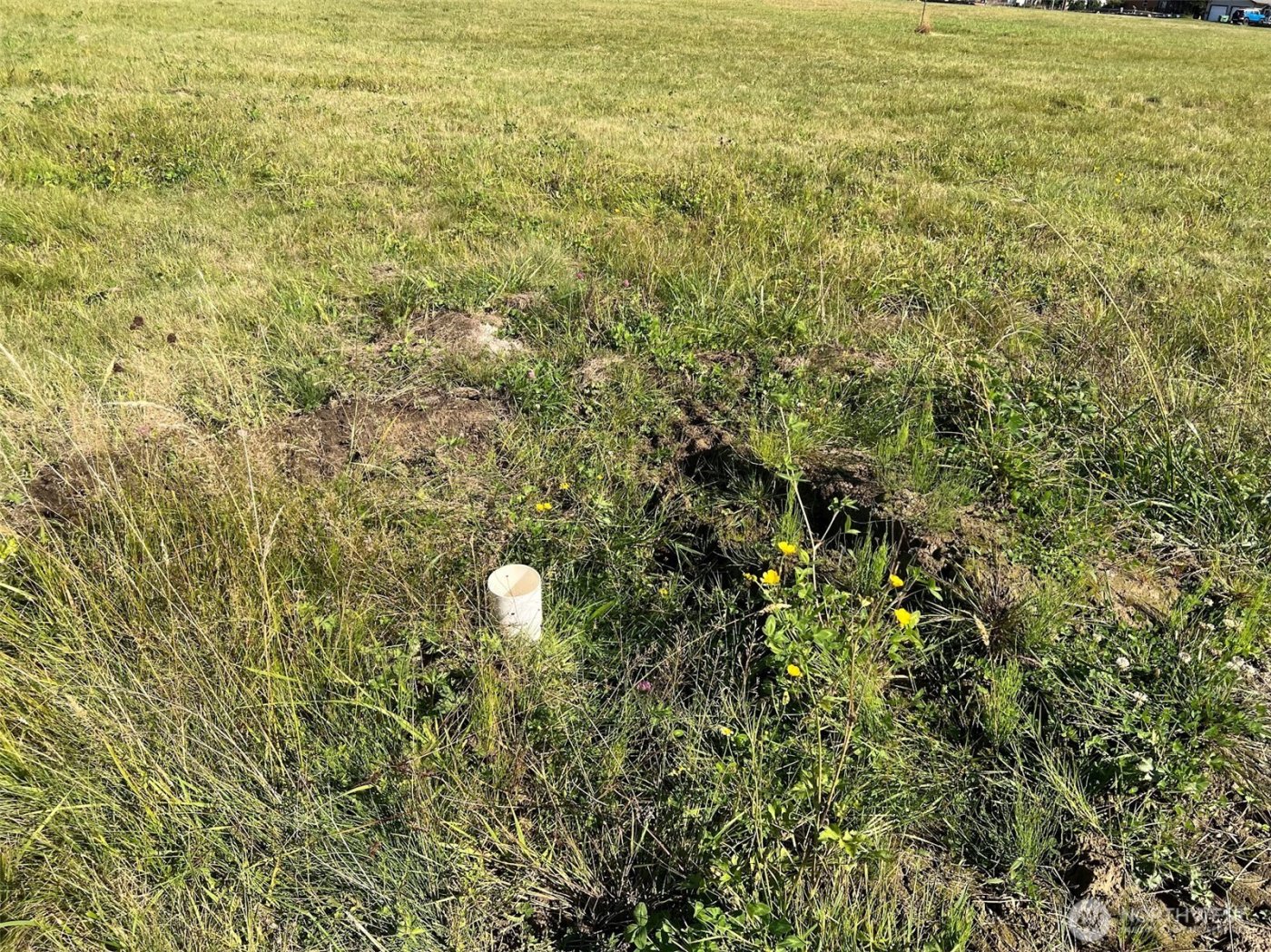 15 Lot 15 - Garden of Eden Road , Sedro Woolley, WA 98284