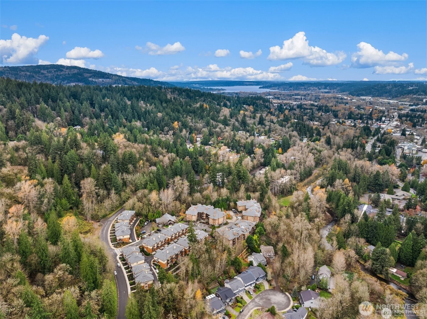 992 Sunrise Place SW #N1, Issaquah, WA 98027
