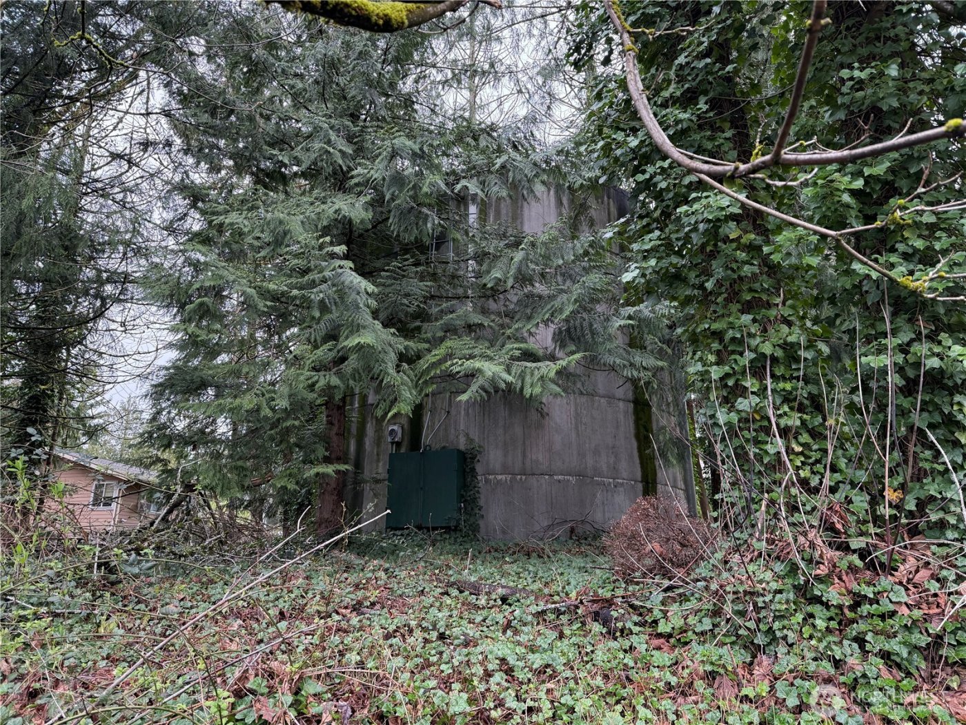 246 211th Place NE, Sammamish, WA 98074