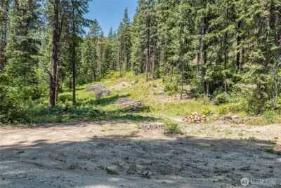 16757 Second Creek Road , Leavenworth, WA 98826 - Photo 6