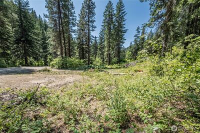 16757 Second Creek Road , Leavenworth, WA 98826 - Photo 8